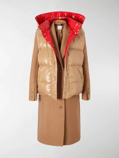 Shop Burberry Paneled Coat In Brown