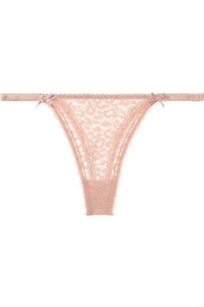 Shop Stella Mccartney Ruby Roaring Stretch-lace Thong In Baby Pink