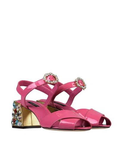 Shop Dolce & Gabbana Woman Sandals Pink Size 6.5 Calfskin, Lambskin