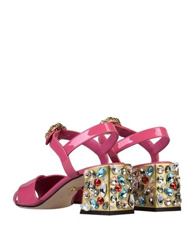 Shop Dolce & Gabbana Woman Sandals Pink Size 5.5 Calfskin, Lambskin