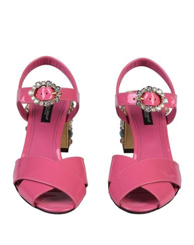 Shop Dolce & Gabbana Woman Sandals Pink Size 6.5 Calfskin, Lambskin
