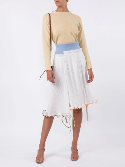 Shop Loewe Jellyfish Skirt