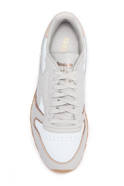 Shop Reebok Classic Leather Lace-up Sneaker In Skull Grey/rose Gold/gum