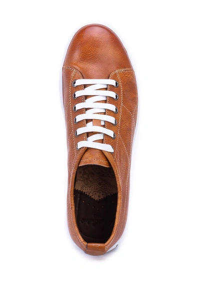 Shop Robert Graham Blackburn Low Top Sneaker In Cognac