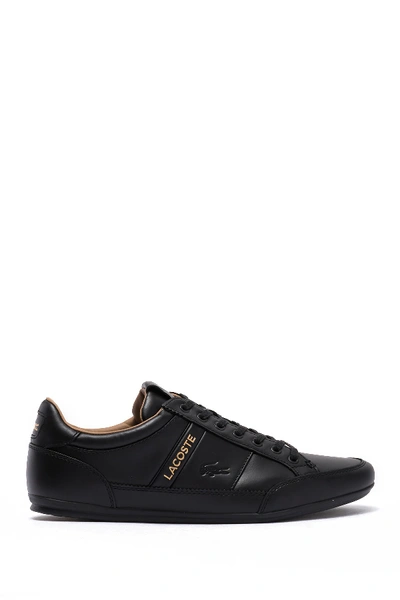 Shop Lacoste Chaymon Leather Sneaker In Black/black