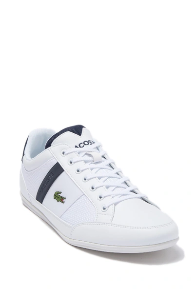 Shop Lacoste Chaymon 319 Sneaker In White/navy