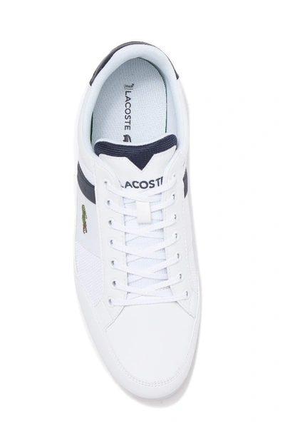 Shop Lacoste Chaymon 319 Sneaker In White/navy