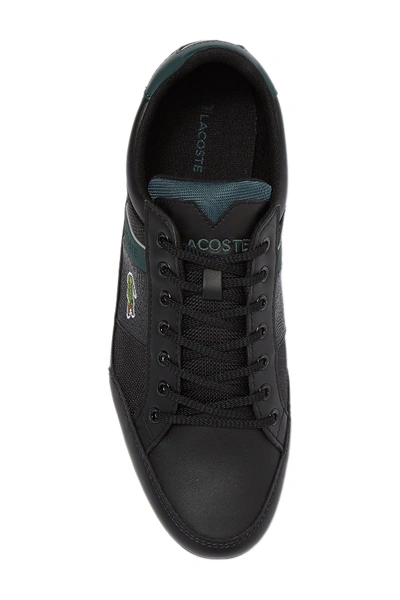 Shop Lacoste Chaymon 319 Sneaker In Black/dark Green