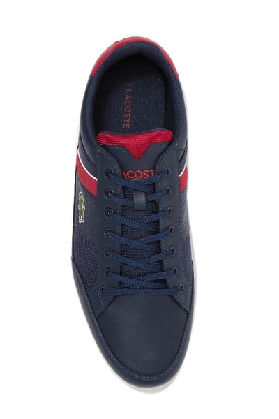 Shop Lacoste Chaymon 319 Sneaker In Navy/red