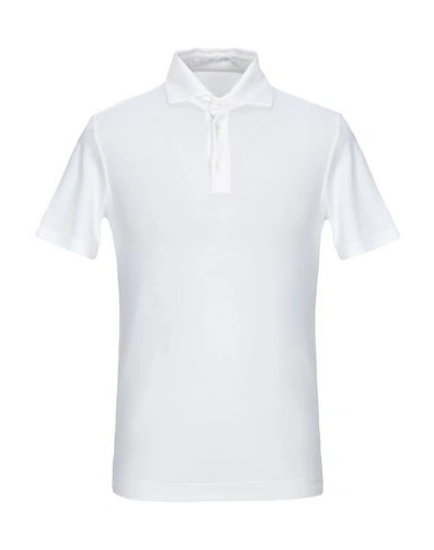 Shop Cruciani Polo Shirts In White