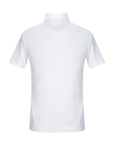 Shop Cruciani Polo Shirts In White