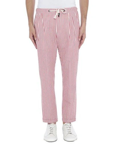 Shop Be Able Man Pants Red Size 30 Cotton, Lycra