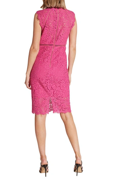 Shop Bardot Lace Sheath Dress In Fuchsia
