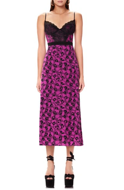 Shop Afrm Bruna Lace Detail Midi Dress In Violet Animal 596