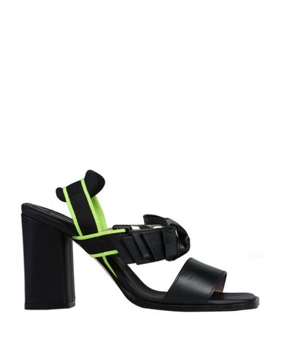 Shop Alberto Gozzi Sandals In Black