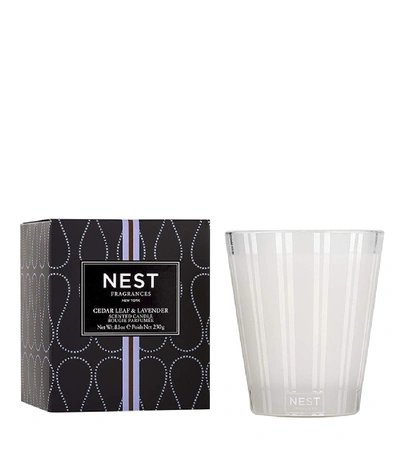 Shop Nest Fragrances 'cedar Leaf And Lavender' Classic Candle In N/a