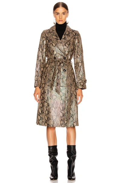 Shop Frame Embossed Python Trench In Brown Multi