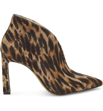 Shop Vince Camuto Sestrind Bootie In Natural Calf Hair