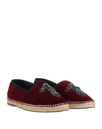 Dolce & Gabbana Espadrilles In Maroon
