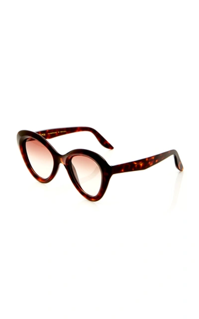 Shop Lapima Rita Cat-eye Acetate Sunglasses In Brown