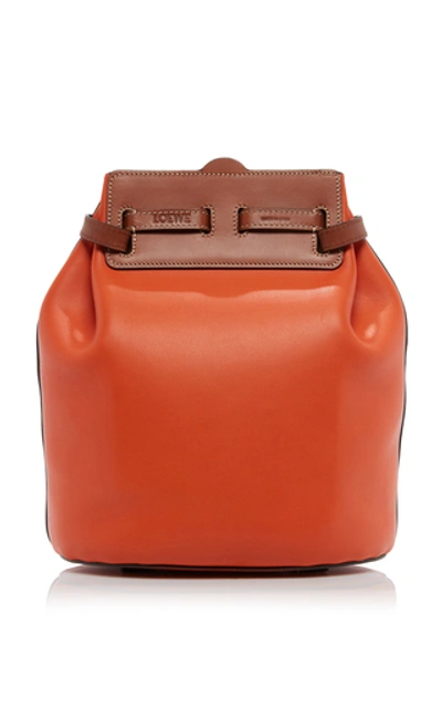 Loewe ruk bag hotsell