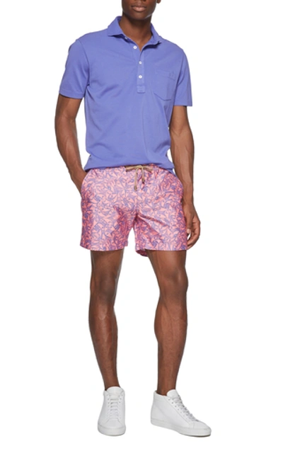 Shop Thorsun Exclusive Pescado Printed Swim Shorts In Pink