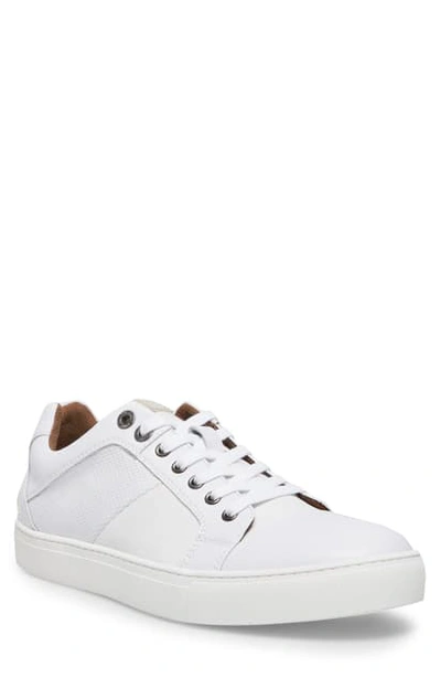 Shop Steve Madden Mister Sneaker In White