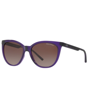 wild coast maui jim