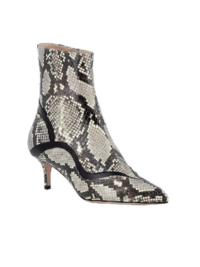 Shop Paula Cademartori Misali New Ayers Boot In Grey