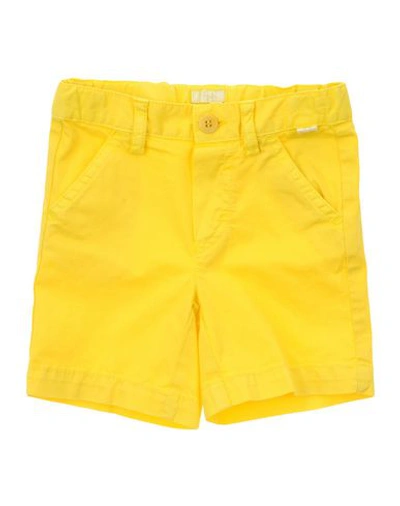Shop Il Gufo Newborn Girl Shorts & Bermuda Shorts Yellow Size 3 Cotton, Elastane