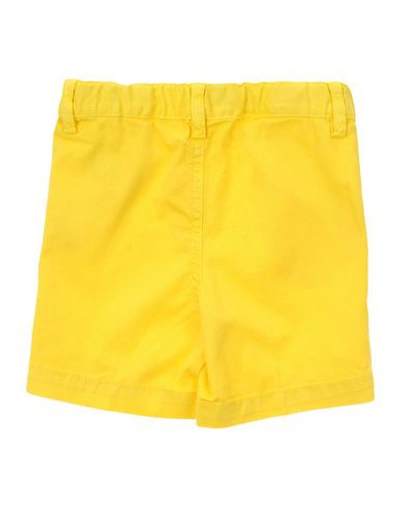 Shop Il Gufo Newborn Girl Shorts & Bermuda Shorts Yellow Size 3 Cotton, Elastane