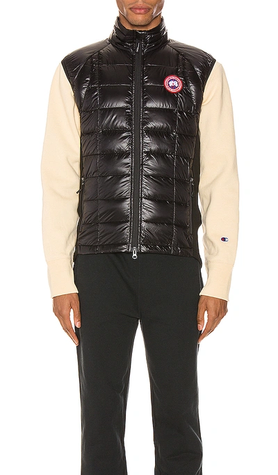 Shop Canada Goose Hybridge Lite Vest In Black