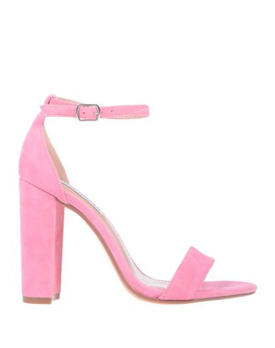 Shop Steve Madden Woman Sandals Pink Size 5.5 Soft Leather