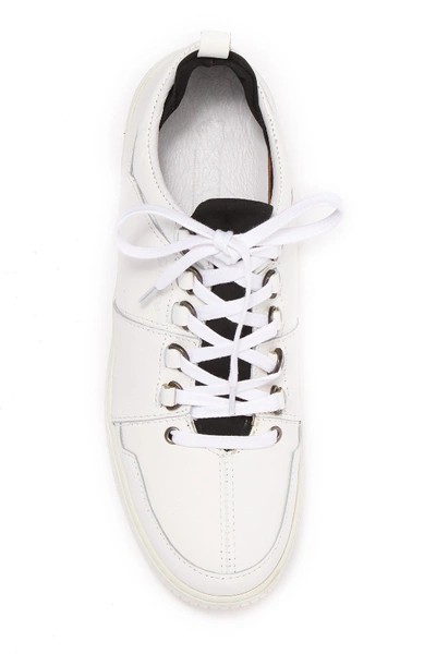 Shop K-swiss Classico Sport Sneaker In White/black/offwhite