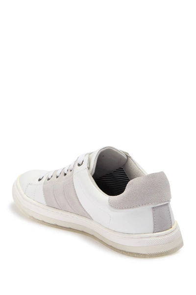 Shop Badgley Mischka Finley Leather & Suede Sneaker In White