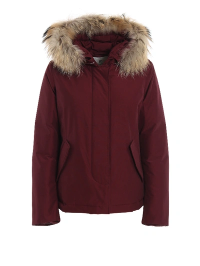 Shop Woolrich Short Arctic Parka Padded Jacket In Burgundy