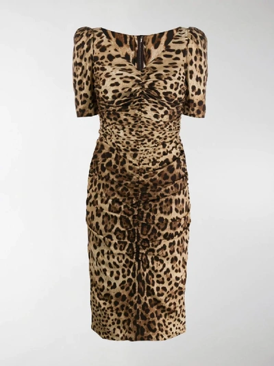 Shop Dolce & Gabbana Leopard Print Midi Dress In Brown