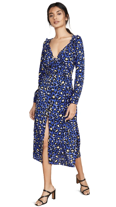 Shop Rahi Blue Leopard Scarlett Dress
