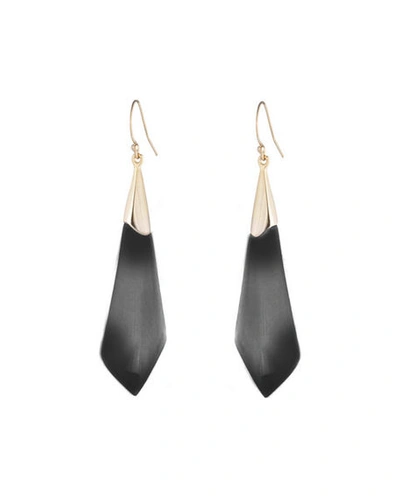 Shop Alexis Bittar Faceted Wire Earrings In Black