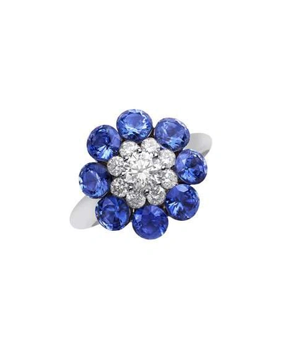 Shop Chopard 18k White Gold Diamond & Sapphire Magical Setting Ring