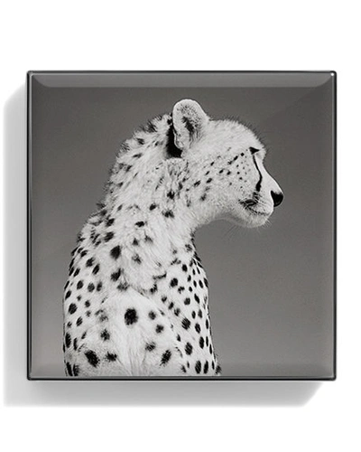 Chantecaille Luminescent Eye Shades In Cheetah