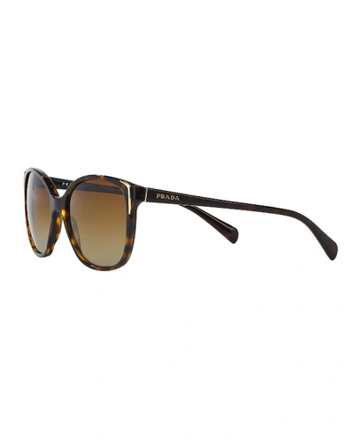 Shop Prada Square Gradient Arrow-edge Sunglasses, Black In Havana/brown
