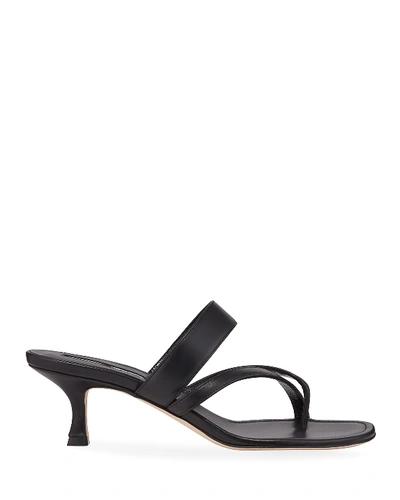 Manolo Blahnik Black Susa Mules In Brown