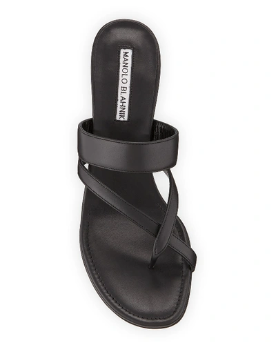 Manolo Blahnik Black Susa Mules In Brown