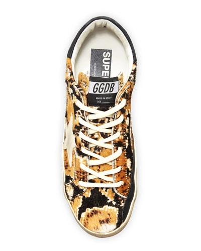 Golden Goose Superstar Snake Calf Hair Sneakers In Pony Snake