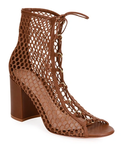 Shop Gianvito Rossi Fishnet Lace-up Booties In Brown