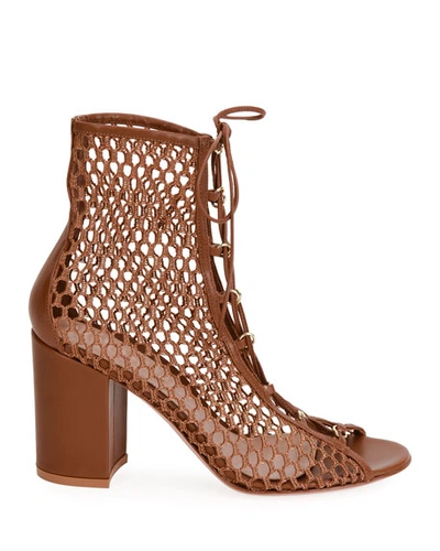 Shop Gianvito Rossi Fishnet Lace-up Booties In Brown