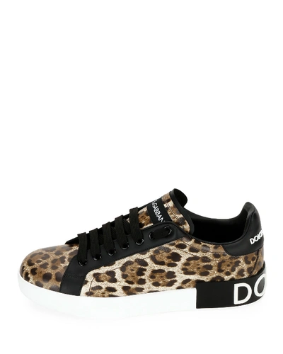 Shop Dolce & Gabbana Leopard Logo Low-top Sneakers In Cheetah