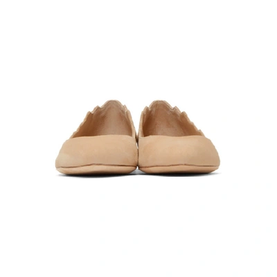 Shop Chloé Chloe Tan Suede Lauren Ballerina Heels In 26u Reef Sh