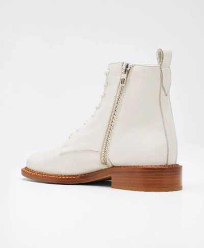 Shop Vince Cabria Leather Combat Lace-up Booties In Off White
